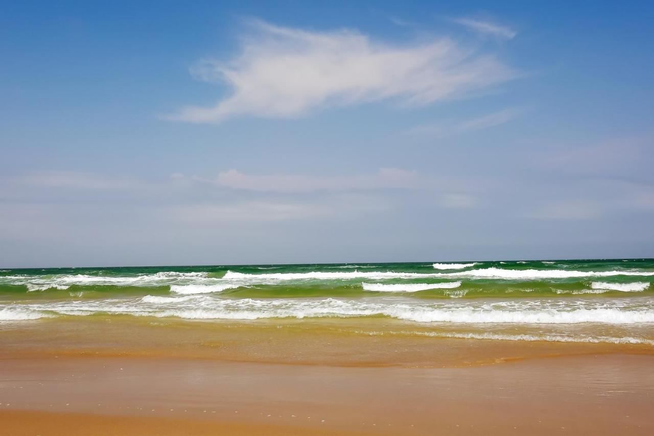 Island Escape & Huisache Townhome South Padre Island Exteriör bild